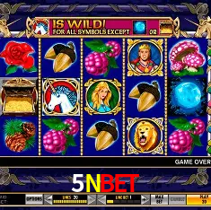 5NBET Brasília - Casino Guide